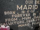 image of grave number 558461